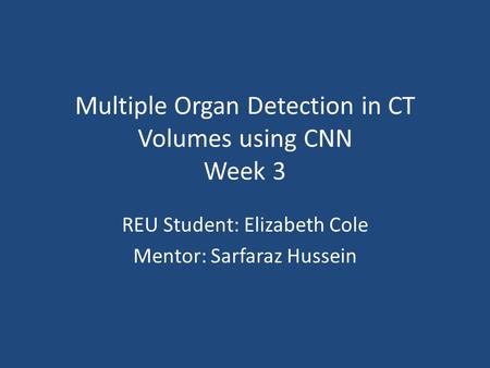 Multiple Organ Detection in CT Volumes using CNN Week 3