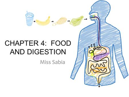 CHAPTER 4: FOOD AND DIGESTION Miss Sabia. FOOD AND ENERGY Section 1.