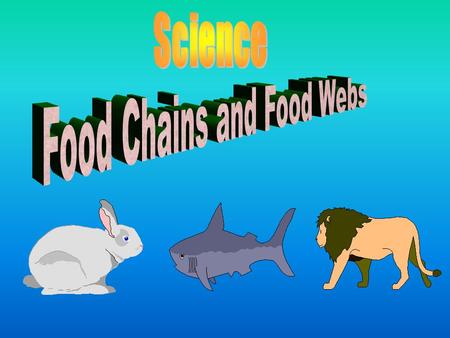 Food Chains and Food Webs