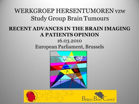 WERKGROEP HERSENTUMOREN vzw Study Group Brain Tumours RECENT ADVANCES IN THE BRAIN IMAGING A PATIENTS OPINION 16.03.2010 European Parliament, Brussels.