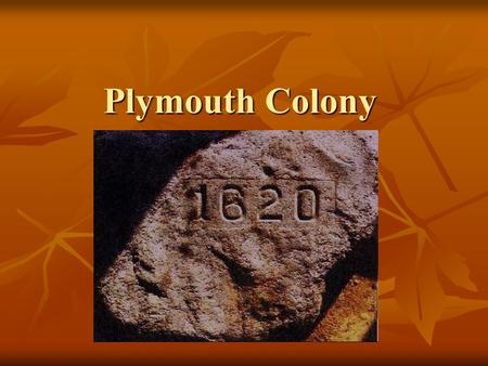 Plymouth Colony. Separatists Protestants in England were unsatisfied with the Anglican Church (Church of England) Protestants in England were unsatisfied.