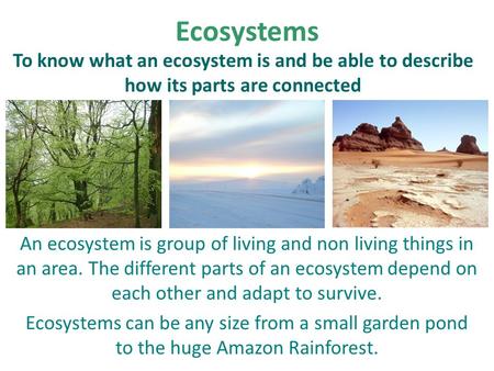 Ecosystems To know what an ecosystem is and be able to describe how its parts are connected An ecosystem is group of living and non living things in an.