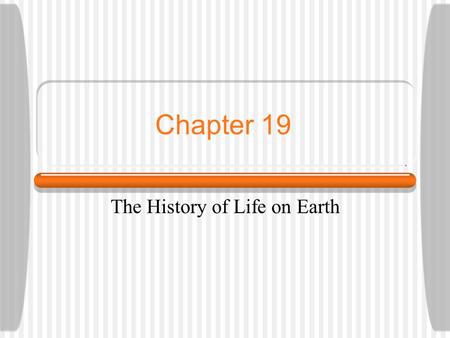 The History of Life on Earth