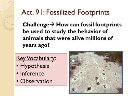 Act. 91: Fossilized Footprints