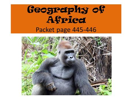 Geography of Africa Packet page 445-446. 1. What was the death route? The Trade route that traveled through the Sahara Desert.