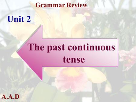 A.A.D Grammar Review Unit 2 The past continuous tense The past continuous tense.