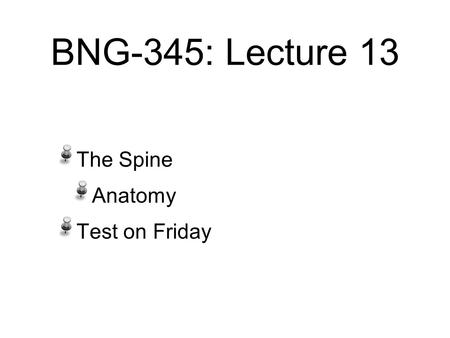 BNG-345: Lecture 13 The Spine Anatomy Test on Friday.