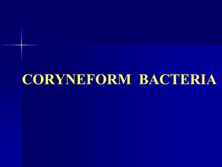 CORYNEFORM BACTERIA. Diphteroids  Pleomorphic gram-positive rods.  Club Shaped (Chinese Letter like, V forms)  Catalase +ve  Non sporing  Non acid.