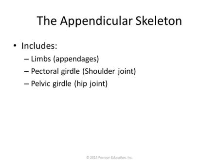 The Appendicular Skeleton