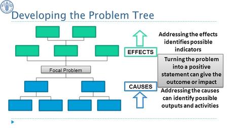 CAUSES EFFECTS Focal Problem Developing the Problem Tree Turning the problem into a positive statement can give the outcome or impact Addressing the causes.