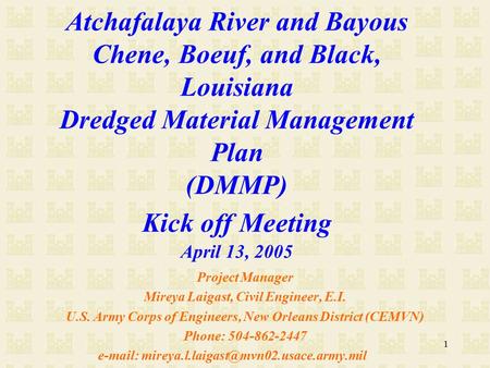 1 Atchafalaya River and Bayous Chene, Boeuf, and Black, Louisiana Dredged Material Management Plan (DMMP) Kick off Meeting April 13, 2005 Project Manager.