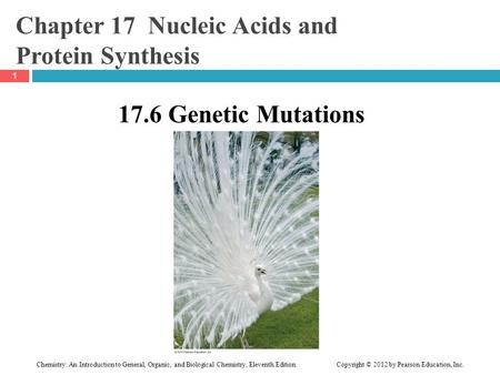 Chemistry: An Introduction to General, Organic, and Biological Chemistry, Eleventh Edition Copyright © 2012 by Pearson Education, Inc. Chapter 17 Nucleic.