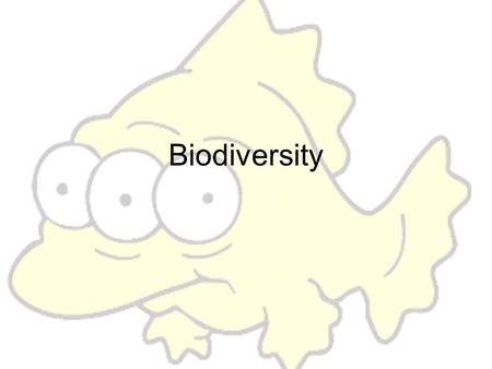 Biodiversity. Genetic Mutations Change in base pairs Affect sequence May affect protein production Can alter genetic makeup within species.