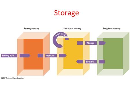 Storage. Sensory Memory “fleeting” Sensory Registry –Iconic - –Echoic -