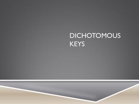 DICHOTOMOUS KEYS. WHAT IS A DICHOTOMOUS KEY?  When a biologist wants to identify a plant or animal they have found, they often use an identification.