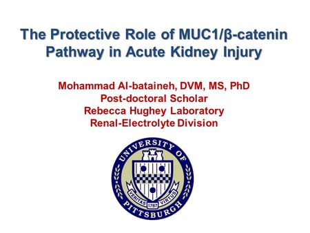 Mohammad Al-bataineh, DVM, MS, PhD Post-doctoral Scholar Rebecca Hughey Laboratory Renal-Electrolyte Division The Protective Role of MUC1/β-catenin Pathway.