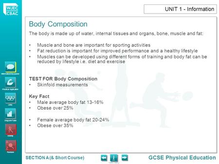 Information/Discussion Practical Application Links Diagram/Table Activity Revision GCSE Physical Education MAIN MENU Body Composition SECTION A (& Short.