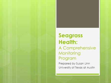 Seagrass Health: A Comprehensive Monitoring Program Prepared by Susan Linn University of Texas at Austin.