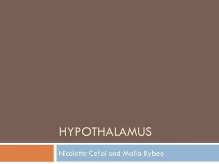 HYPOTHALAMUS Nicolette Cefai and Malia Bybee. Location  In the brain below the thalamus and above the pituitary gland.