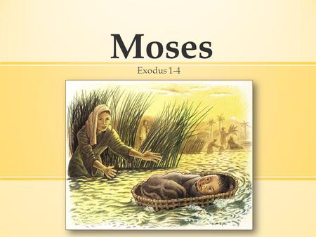 Moses Exodus 1-4. Exodus 1–4 Moses: The Early Years Exodus 5–12 10 plagues Exodus 13–15 The Red Sea Exodus 16–18 Manna, quail, and water from a.