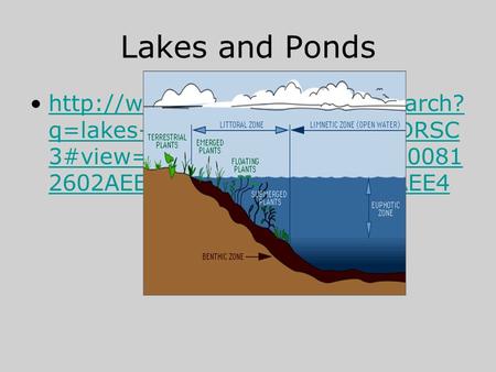 Lakes and Ponds  q=lakes+and+ponds&FORM=HDRSC 3#view=detail&mid=A8C9DDEE0081 2602AEE4A8C9DDEE00812602AEE4http://www.bing.com/videos/search?