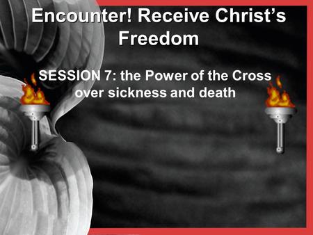 Encounter! Receive Christ’s Freedom SESSION 7: the Power of the Cross over sickness and death.