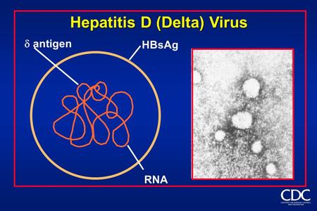 Hepatitis D (Delta) Virus