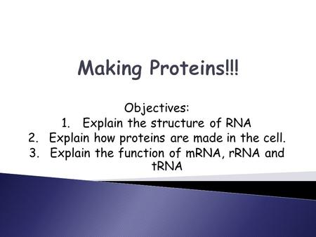 Making Proteins!!! Objectives: 1.Explain the structure of RNA 2.Explain how proteins are made in the cell. 3.Explain the function of mRNA, rRNA and tRNA.