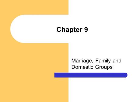 Chapter 9 Marriage, Family and Domestic Groups. Chapter Questions What are some of the universal functions of marriage and the family? What are some of.