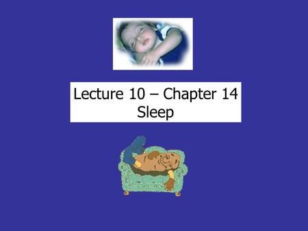 Lecture 10 – Chapter 14 Sleep. SLEEP Circadian Humans spend 1/3 of life sleeping (well over 175,000 hrs) typically 8 hours/day… so - 3/day = extra 21.