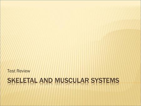 Test Review. ball-and-socket joint knee joint that allows bones to “glide” over each other elbow.