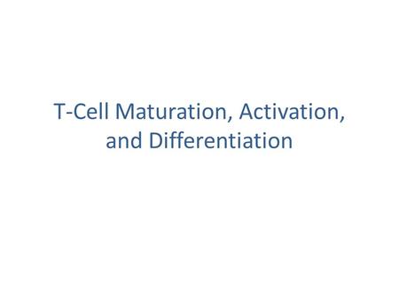 T-Cell Maturation, Activation, and Differentiation