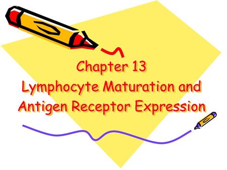 Chapter 13 Lymphocyte Maturation and Antigen Receptor Expression