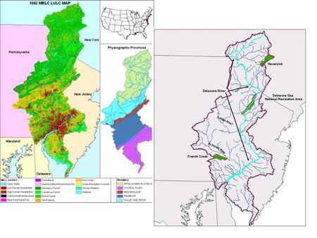 Relationships Among Stressors, Forests, and Aquatic Systems *As Number and Severity of Stressors Increase, The Impacts to Forests and Associated Aquatic.