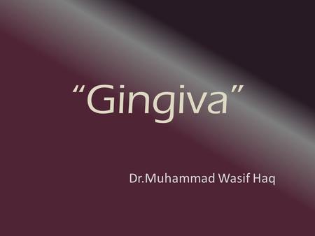 “Gingiva” Dr.Muhammad Wasif Haq.