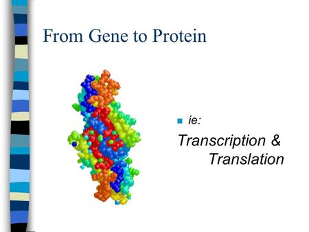 From Gene to Protein n ie: Transcription & Translation.