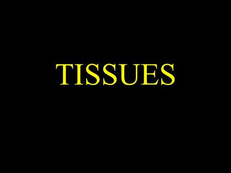 TISSUES. Tissue: A Definition A group of connected, interdependent cells that cooperate to perform a specific function.