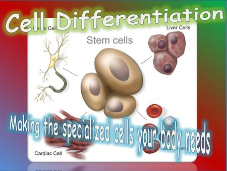 Cells rely on diffusion and osmosis to get the water, nutrients and other molecules necessary for life. All organisms get these from their external.