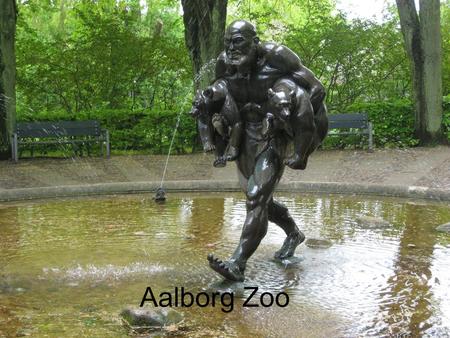 Aalborg Zoo. Aalborg Zoo opened in April 1935 and is today one of the largest provincial tourist attractions, with up to approx 375,000 visitors a year.