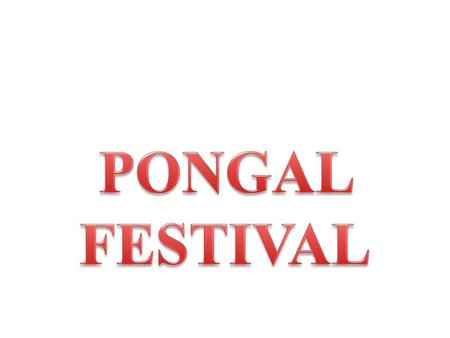 PONGAL FESTIVAL.