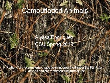 Camouflaged Animals Alyssa Rodriguez CSU Spring 2015 Portions of these materials have been incorporated under the Fair Use Guidelines and are restricted.