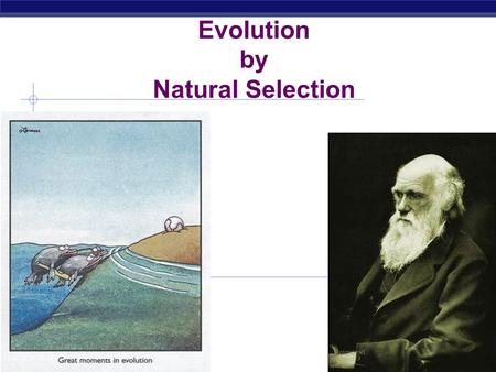 AP Biology 2006-2007 Evolution by Natural Selection.