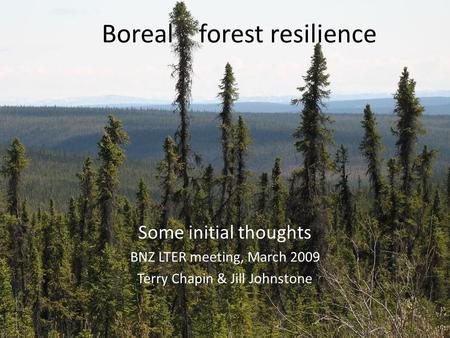 Boreal forest resilience Some initial thoughts BNZ LTER meeting, March 2009 Terry Chapin & Jill Johnstone.