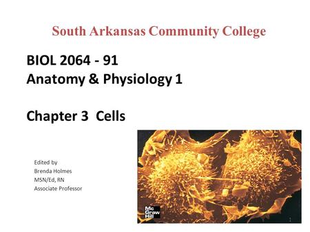 BIOL 2064 - 91 Anatomy & Physiology 1 Chapter 3 Cells Edited by Brenda Holmes MSN/Ed, RN Associate Professor 1 South Arkansas Community College.