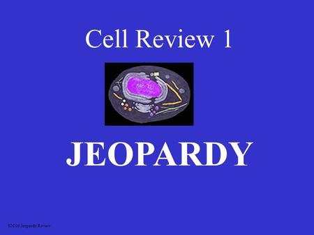 Cell Review 1 JEOPARDY S2C06 Jeopardy Review OrganellesVocabulary Cell Differences Picture ID Misc 100 200 300 400 500.