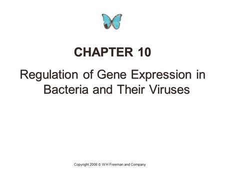 Regulation of Gene Expression in Bacteria and Their Viruses