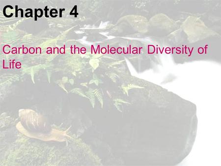 Chapter 4 Carbon and the Molecular Diversity of Life.