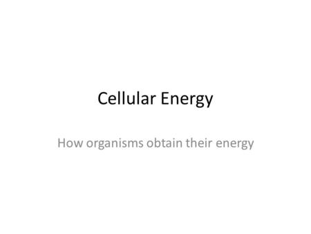 How organisms obtain their energy