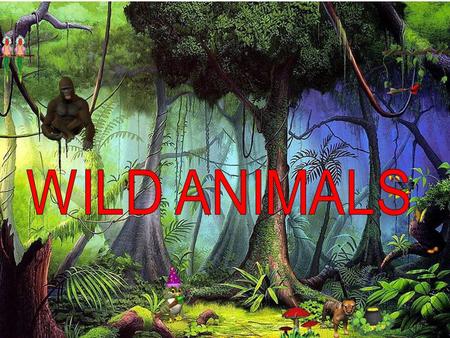 Hello!!! I’m Anne! My favourite wild animal is a gorilla!!! It is brown and pink. It has got teeth, nose, legs, arms, eyes and mouth! Hello!!! I’m Anne!