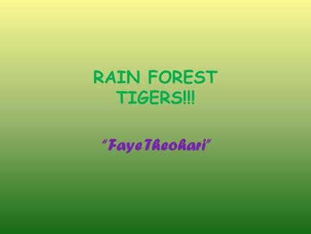 RAIN FOREST TIGERS!!! “Faye Theohari”.